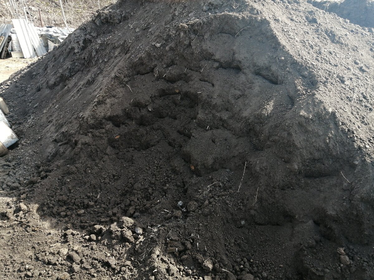 Чернозем