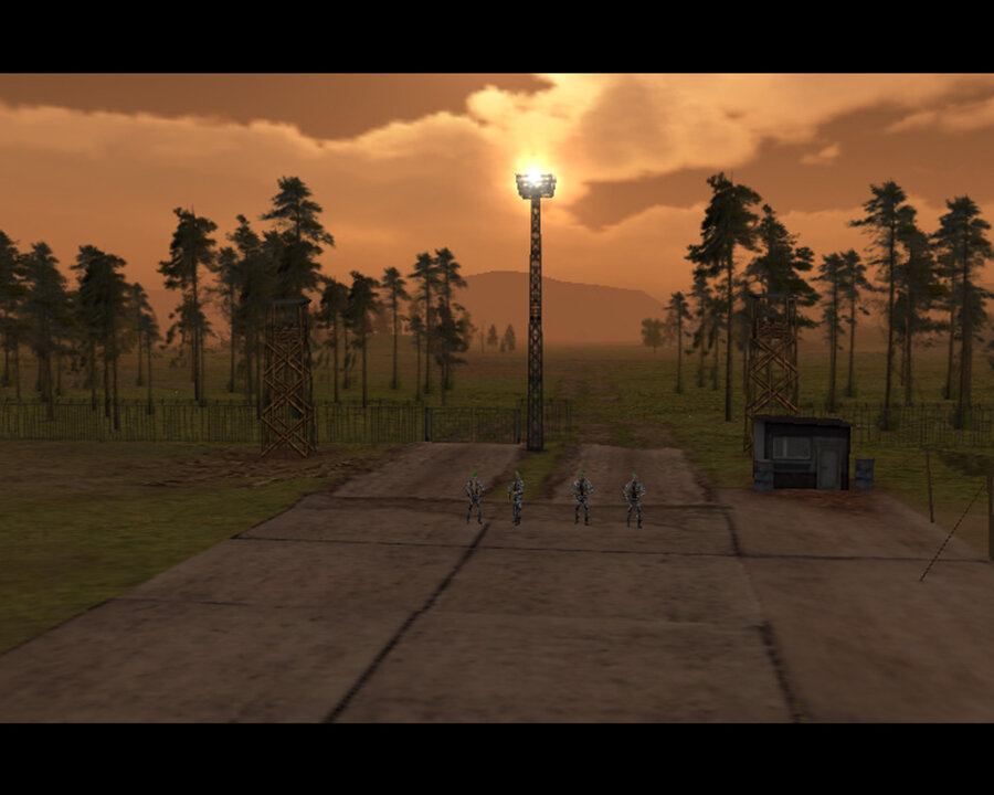 Вы управляете горсткой выживших...