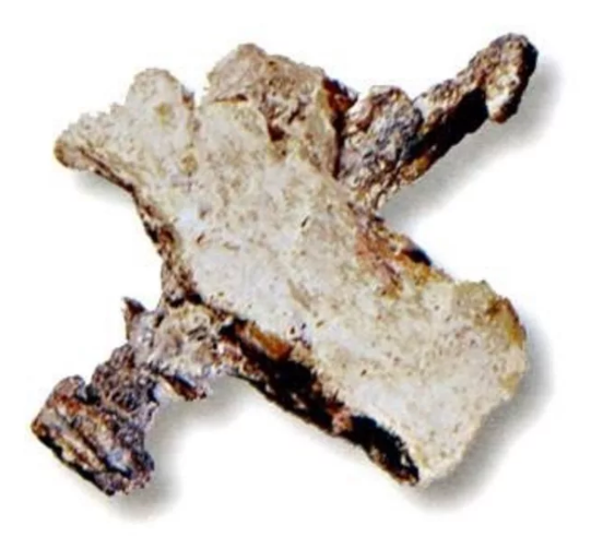 "неудобный" артефакт из девонского периода