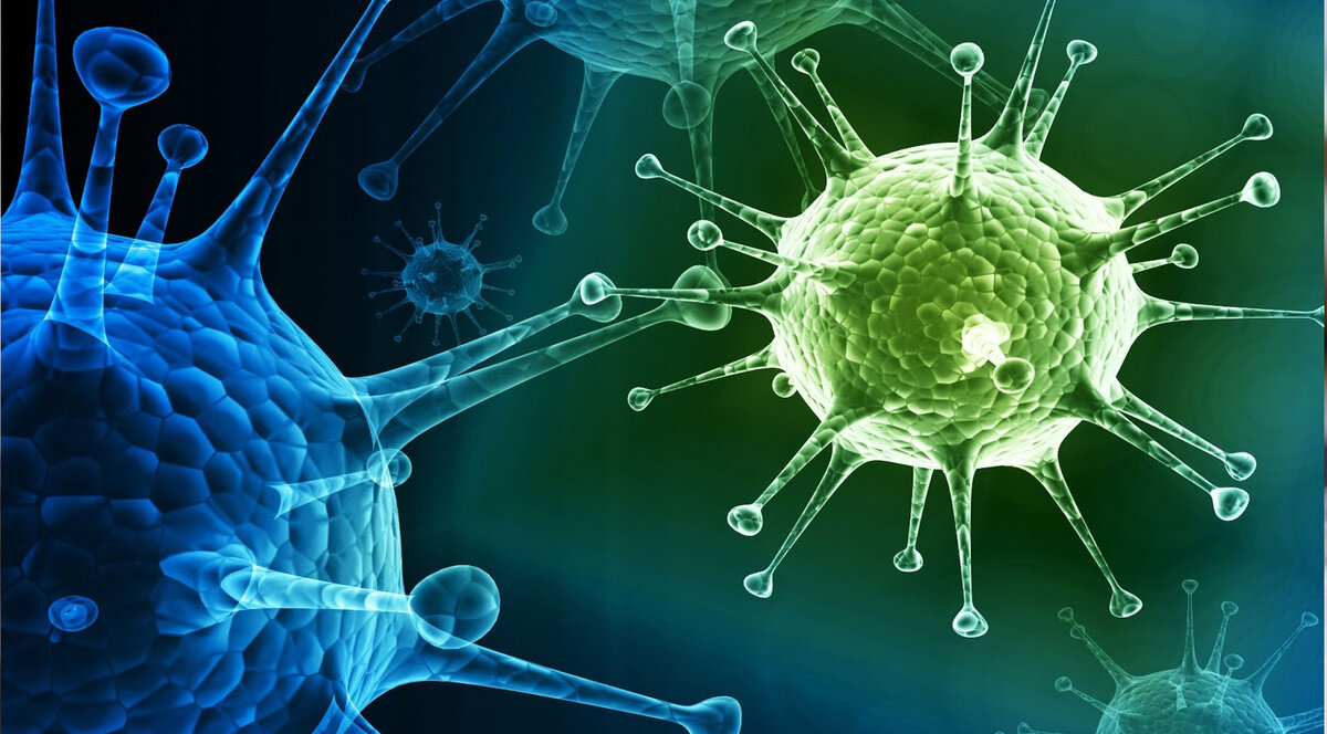 Яндекс картинки.