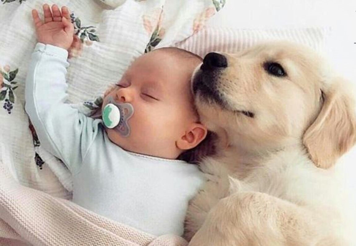 Изображение взято с сервиса Яндекс Картинки для иллюстрации. 