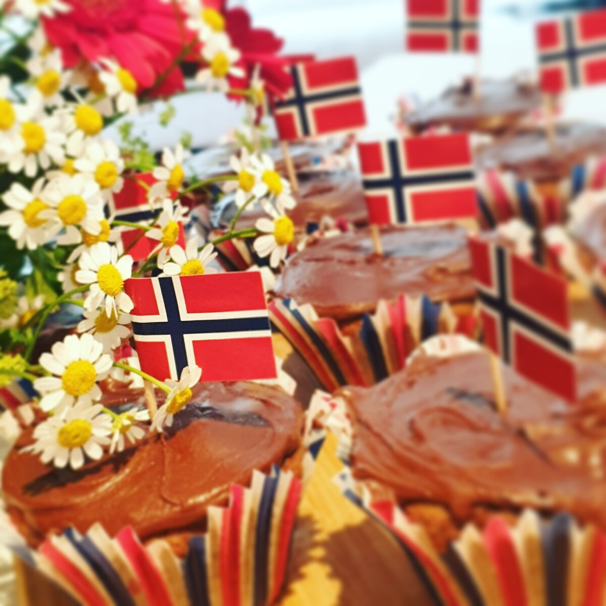 Foto: nordicecocentre.com