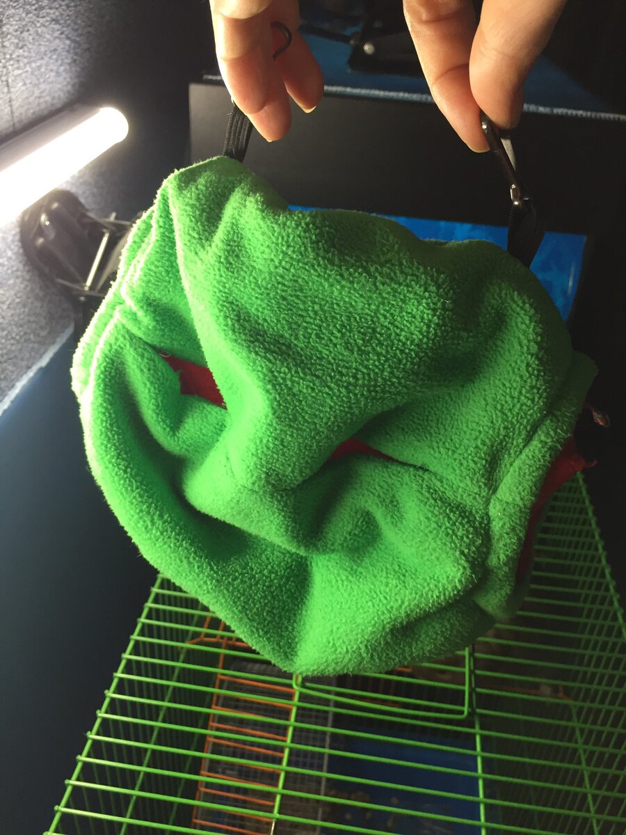 Личное фото.