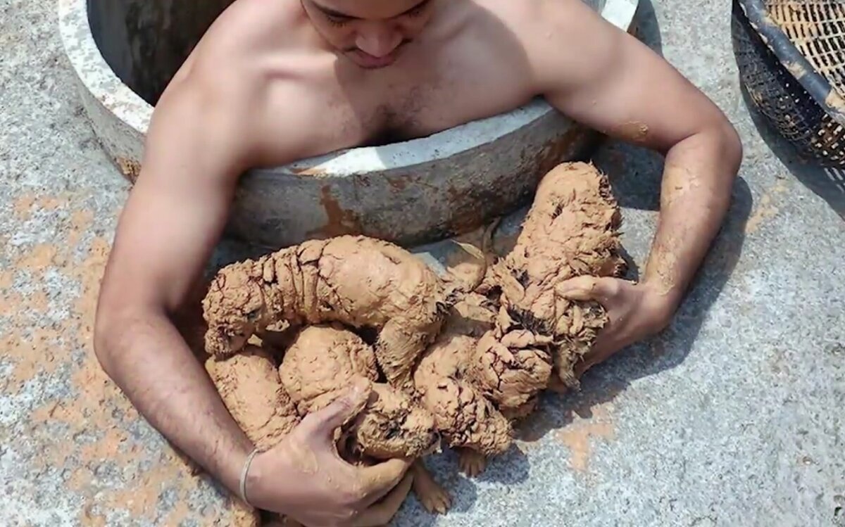 -2