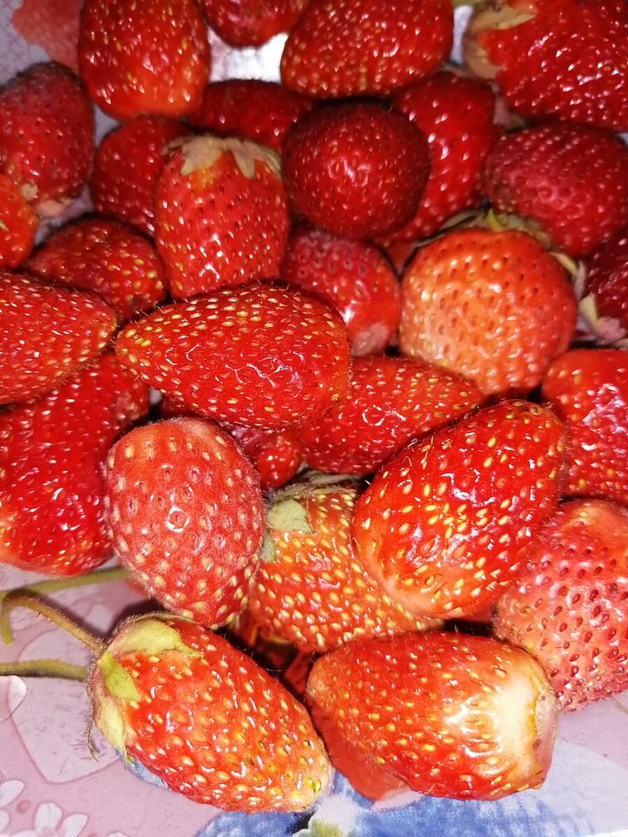 Мой урожай
