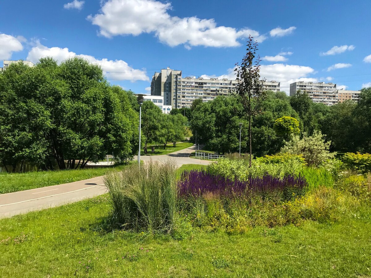 Город москва северное бутово. Район Северное Бутово. Парк Северное Бутово.