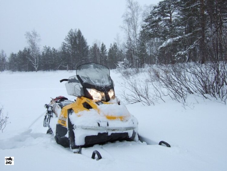 Tundra в России не теряется. Канадцы вещи делают.