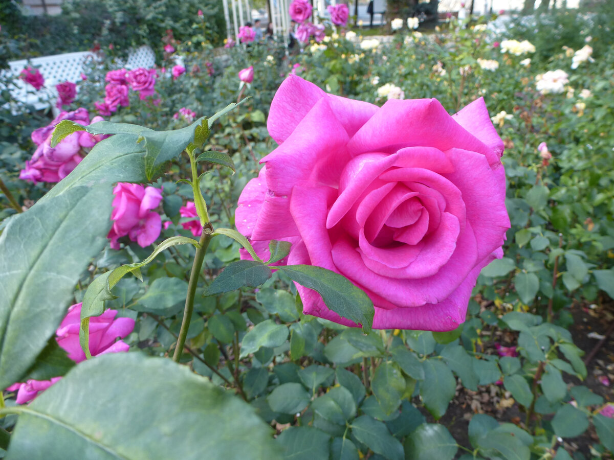 Но если найти себя, то в жизни можно увидеть очень много прекрасного.