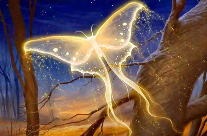 У многих народов бабочка - это символ души