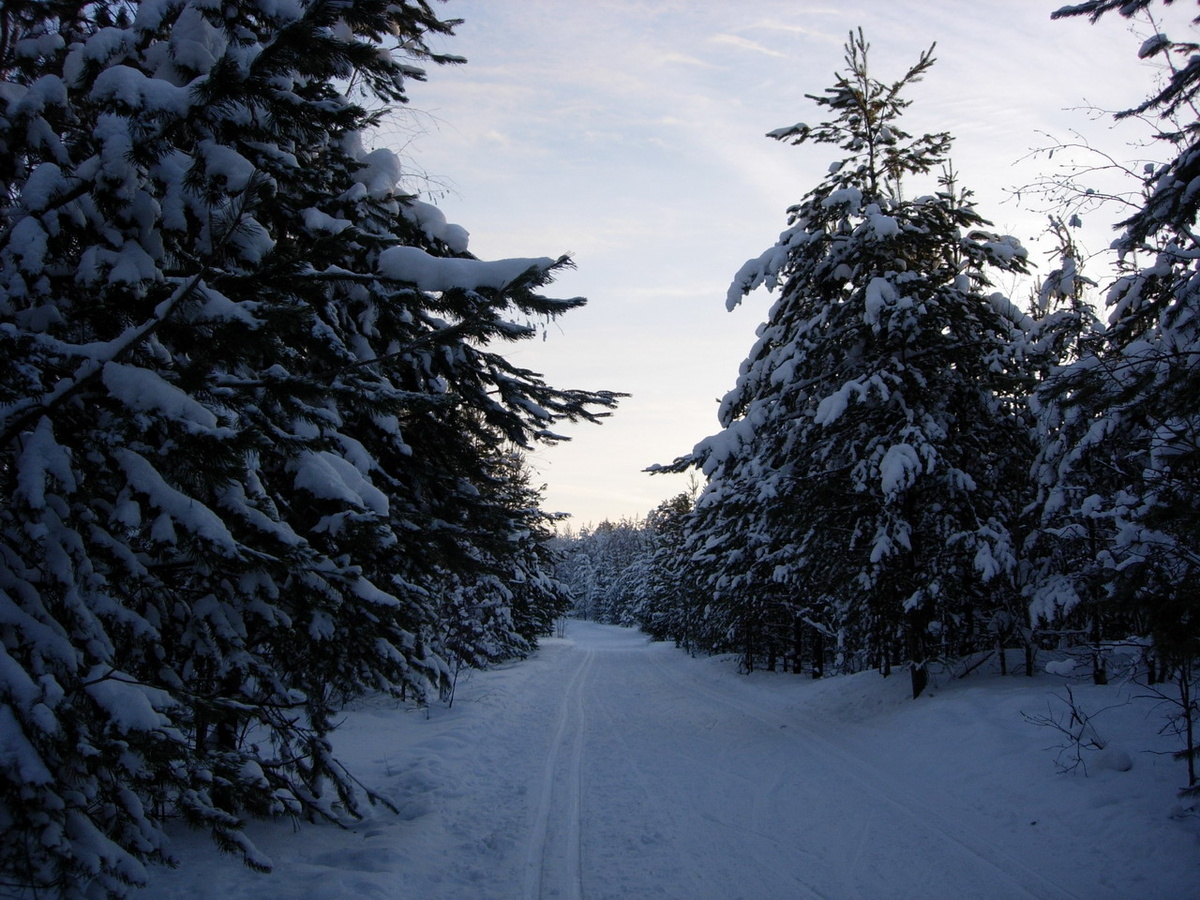 Фото из открытых источников