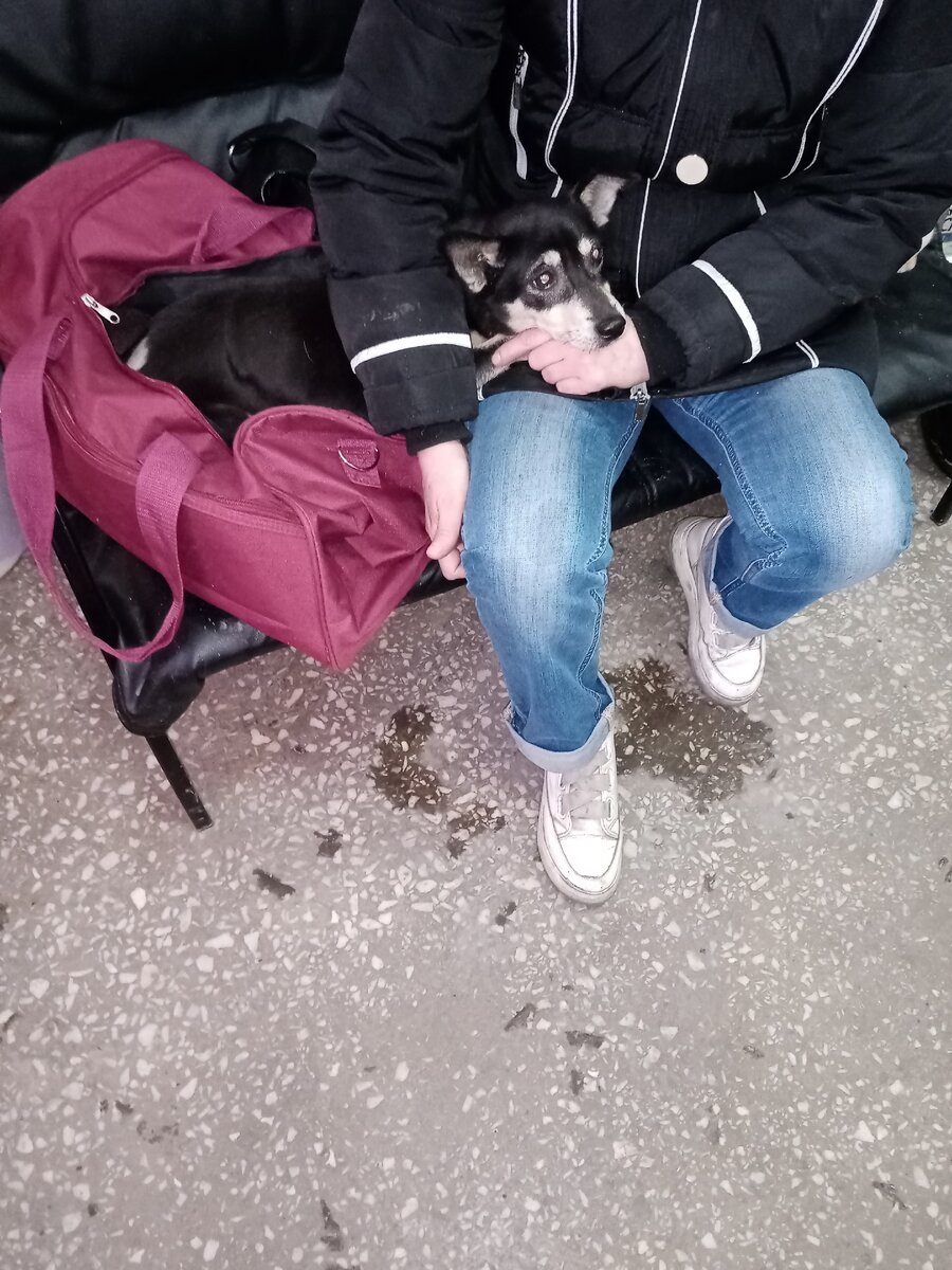 Чупе нужна ваша помощь!! 