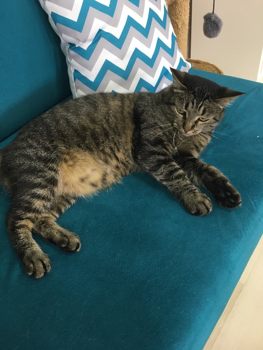 Маша - дама с характером