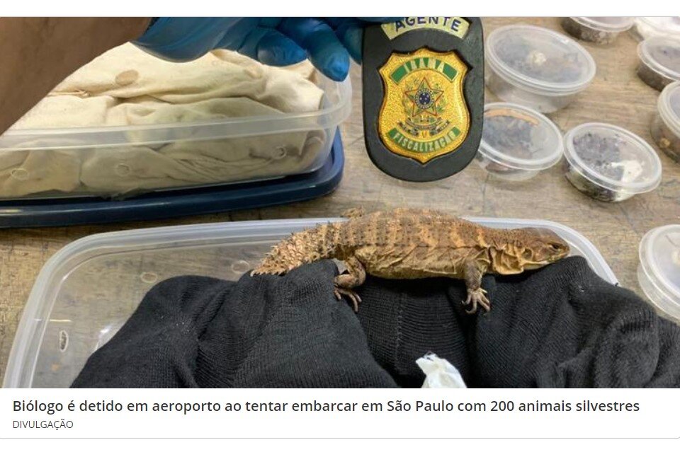 Фото: noticias.r7.com