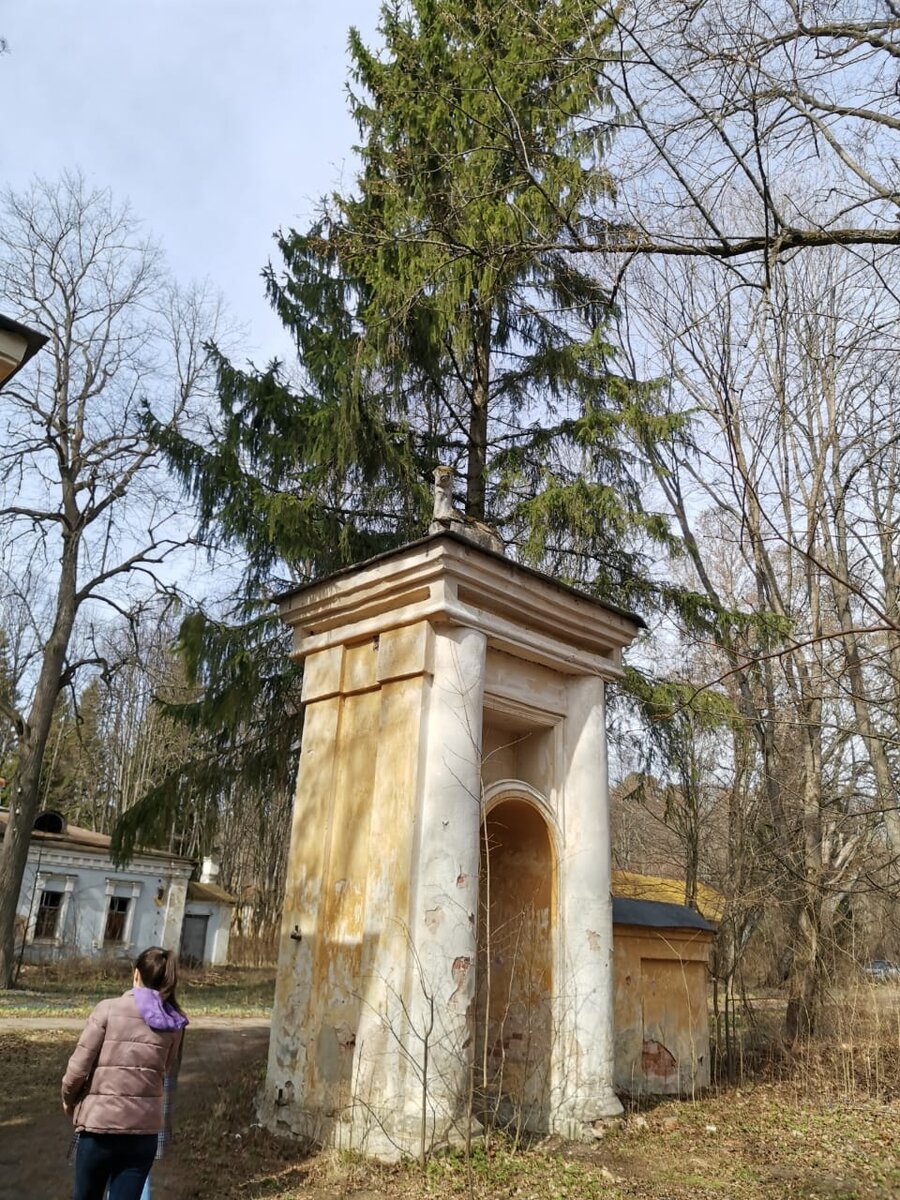 Вверху симпатичные олени 
