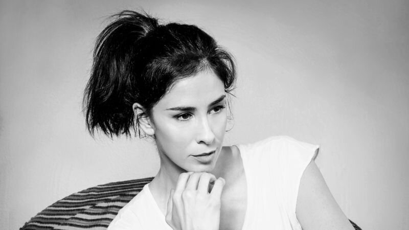 Не Ира, но очень похоже в ее 44 года. Изображение из сети интернет и в свободном доступе.  На фото Сара Силверман и то, что она похожа на мою знакомую простое совпадение