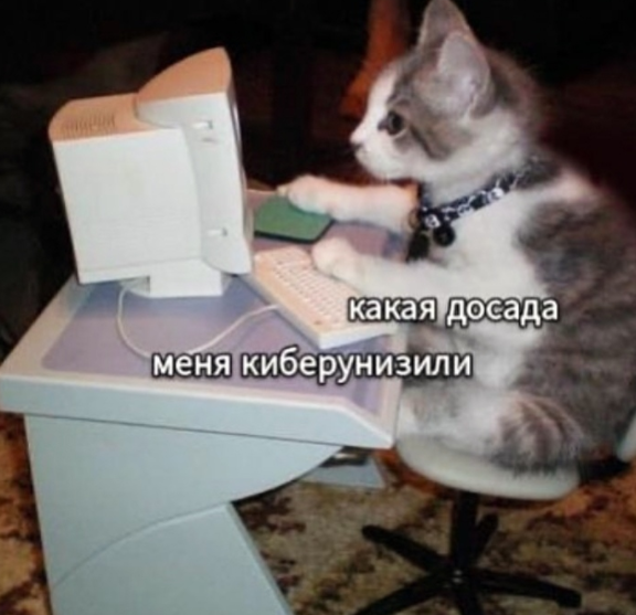 https://vk.com/jblvotnie