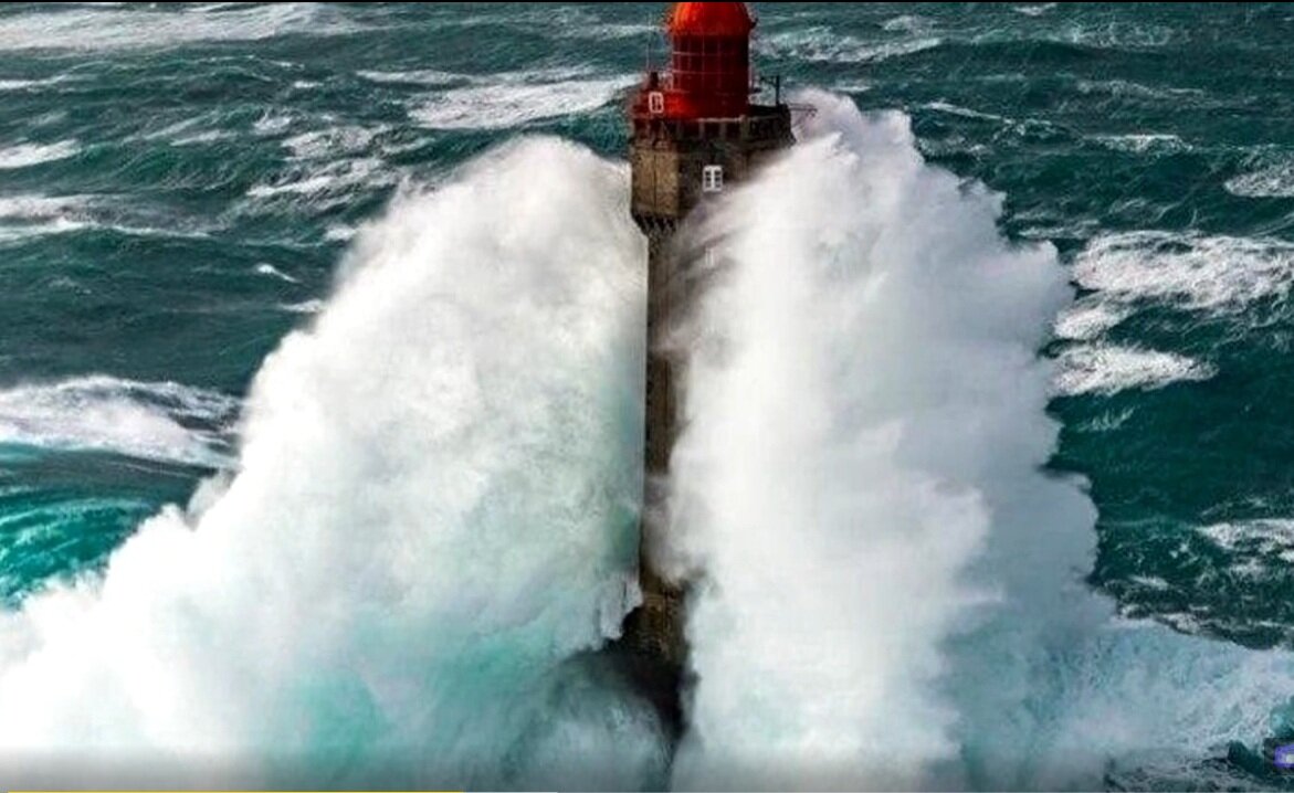 pbs.twimg.com – фото 