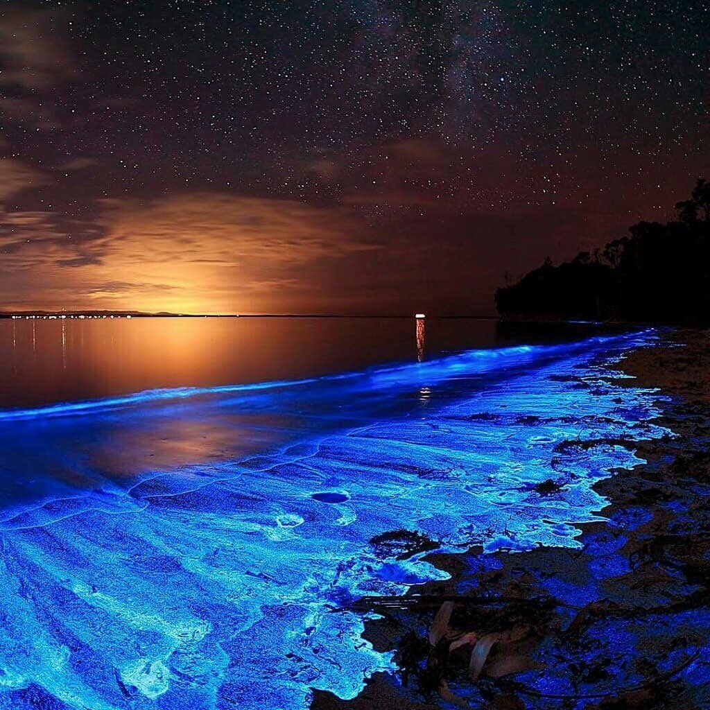Море ночь красиво. Остров Ваадху Мальдивы. Остров Ваадху, Мальдивы. Планктон. Остров Фуладху Мальдивы. Атолл Ваадху Мальдивы.