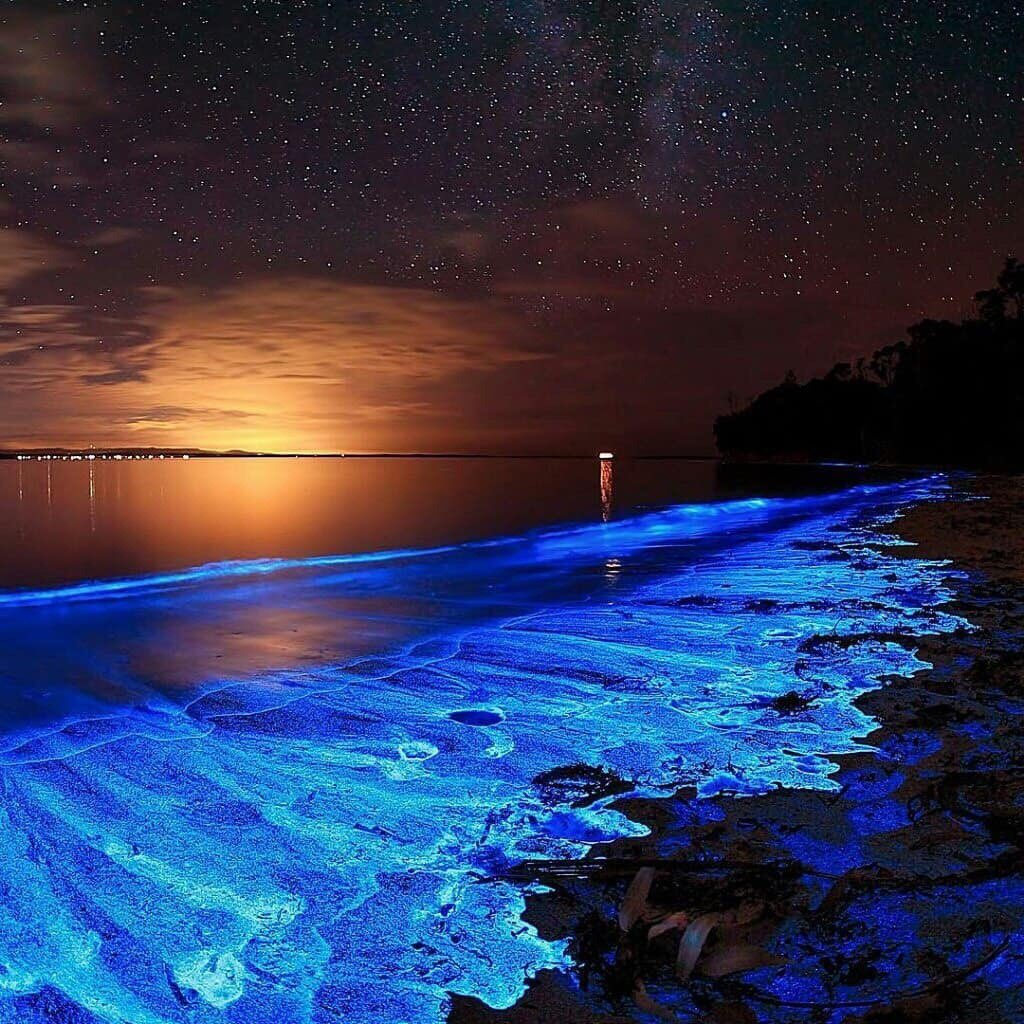 Красивая ночь фото. Остров Ваадху Мальдивы. Noctiluca scintillans. Ночесветка Noctiluca. Noctiluca miliaris.