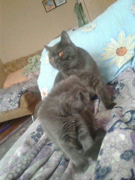 Ещё совсем молодые 