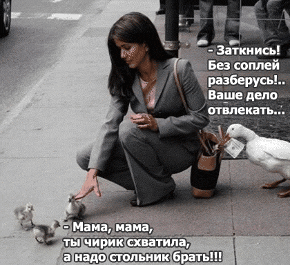 Гуси-цигане