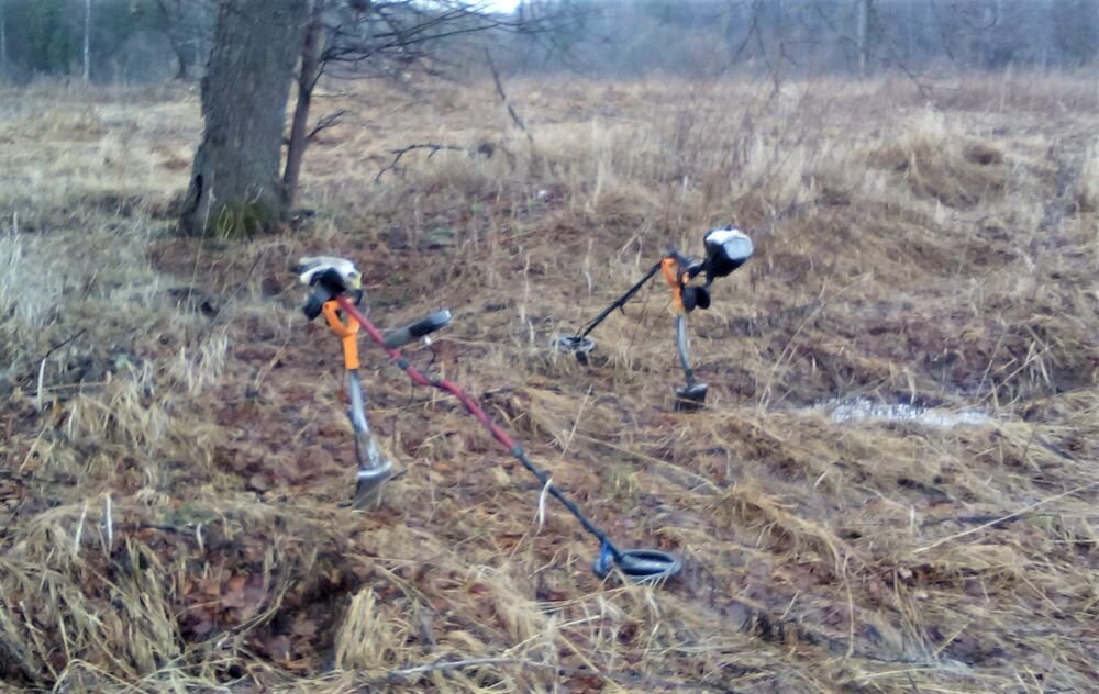 Детекторы на отдыхе 