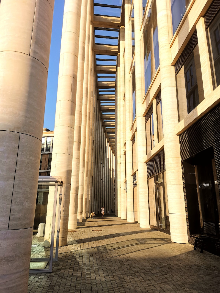 Центральный райoн, улица Moисеенкo.