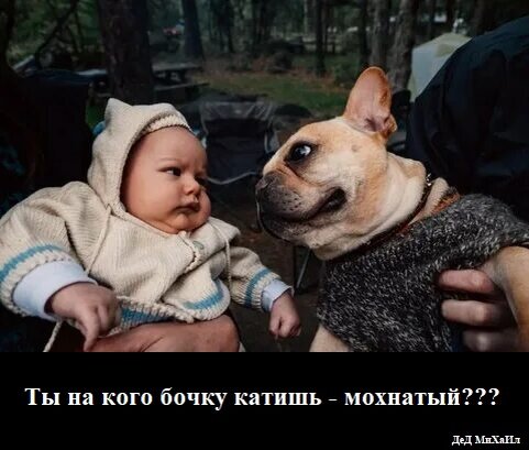Битва взглядов)))                                                                                                                           Фото из свободного доступа.