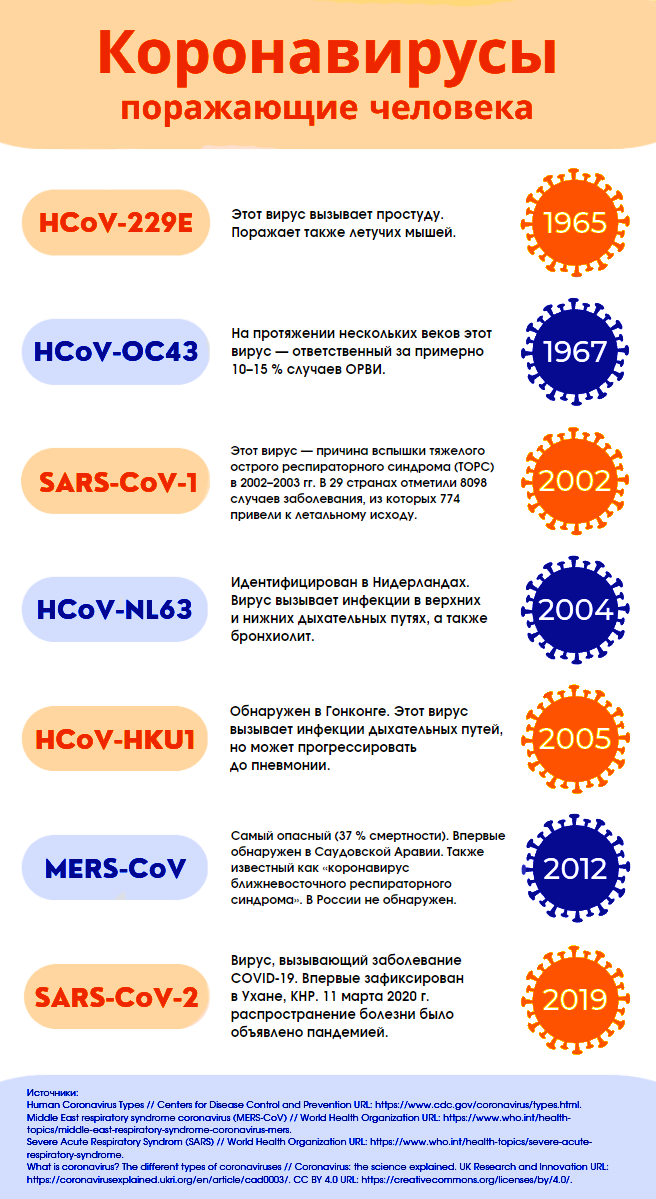 Инфографика «Коронавирусы, поражающие человека» / © 