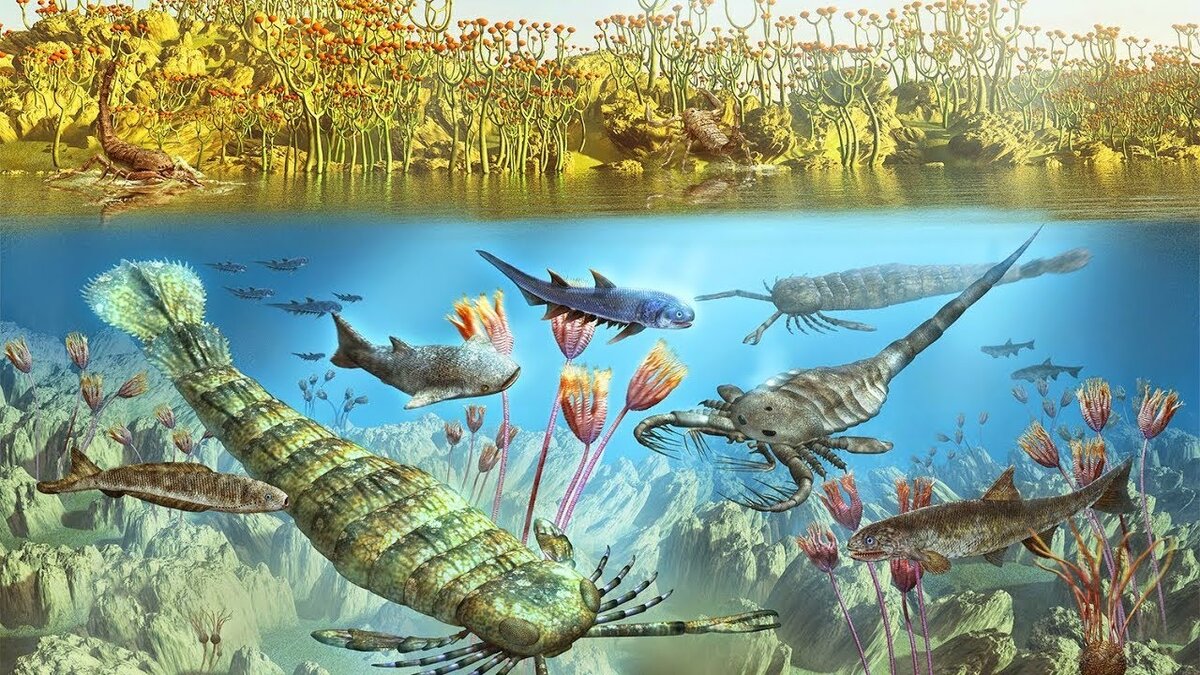 фауна и флора силурийского периода Палеозоя
