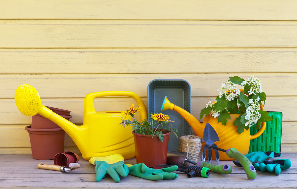 Автор: Ирина Егорова, дачница со стажем