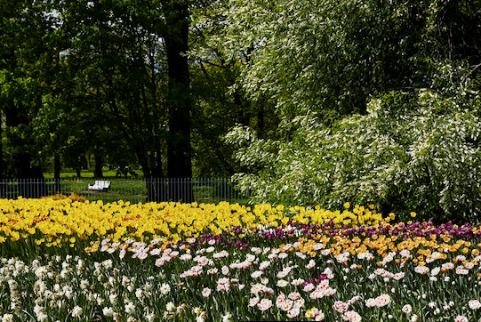 Фото: vk.com/elaginpark