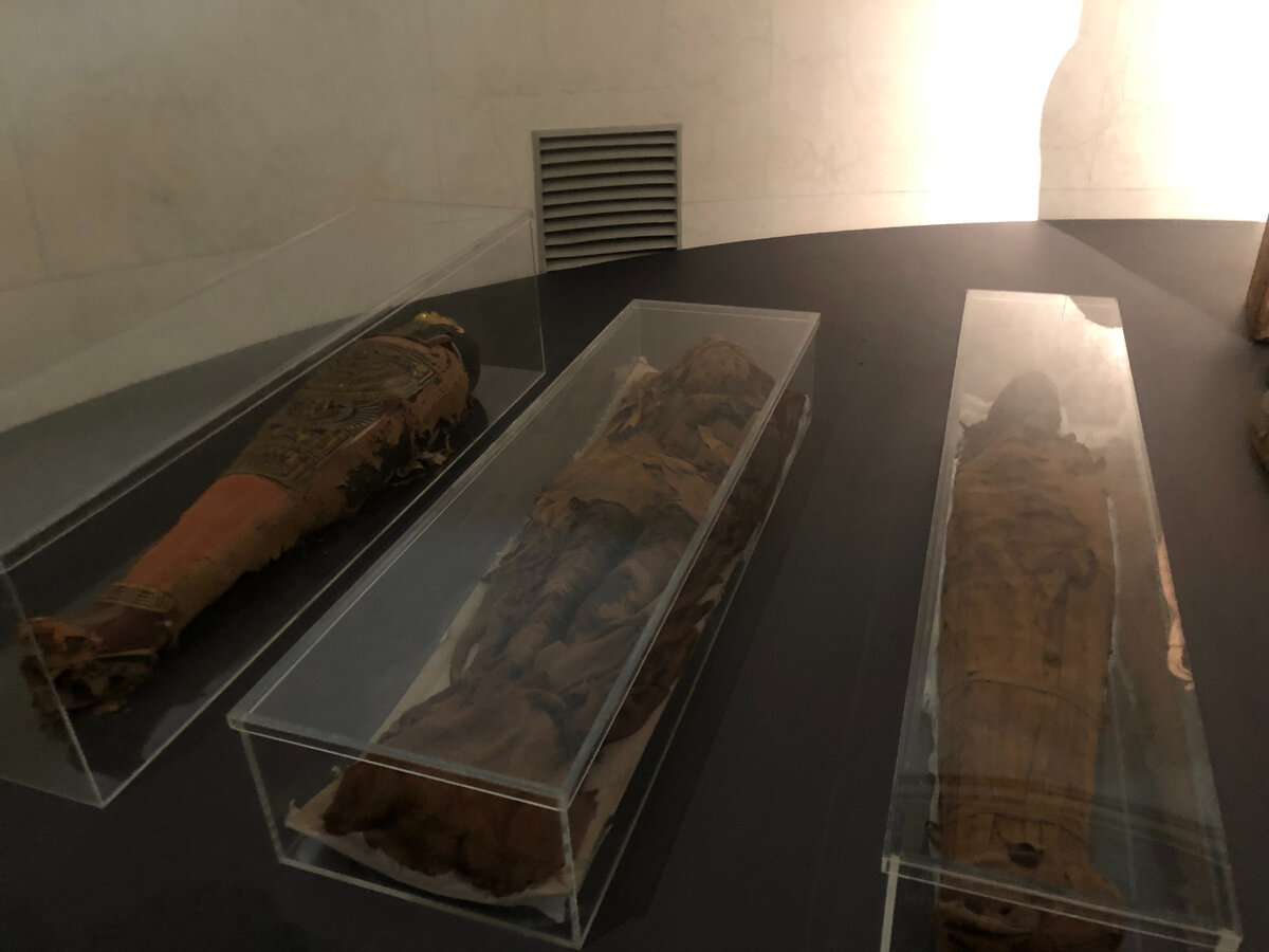 Собрание древнеегипетских мумий в ГМИИ им. А.С. Пушкина самое большое в России. В постоянной экспозиции выставлены только 4 мумии, остальные хранятся в запасниках музея.-1-2