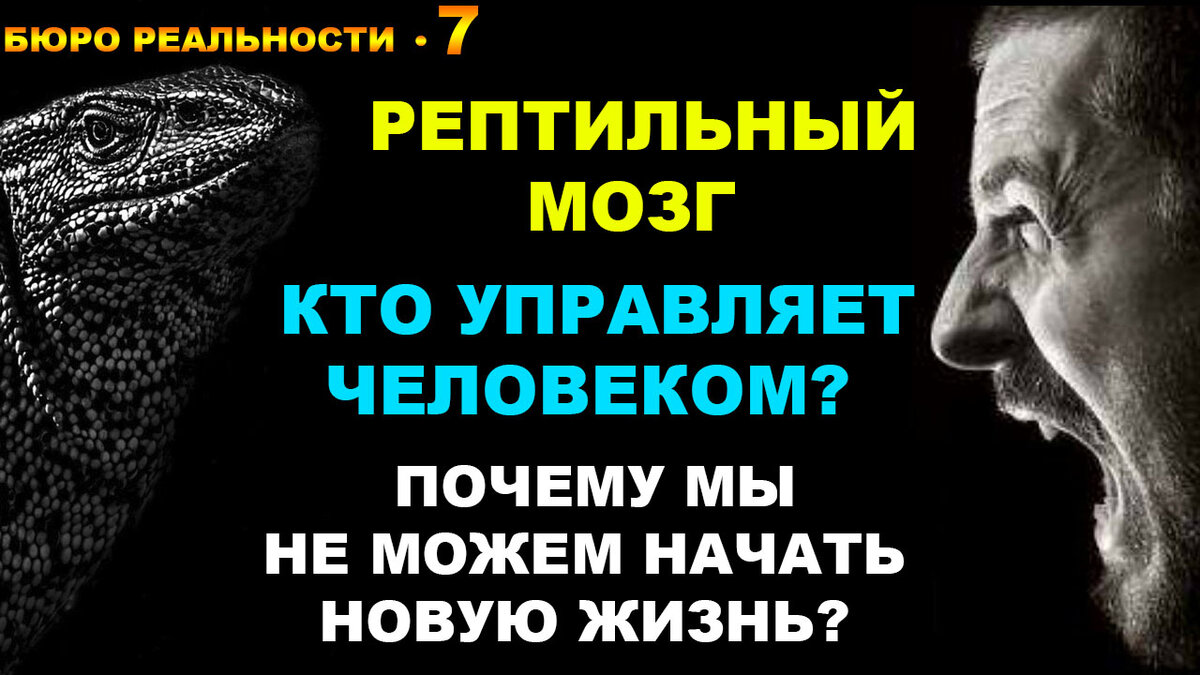 Рептильный мозг. Кто управляет человеком. Почему мы не можем начать новую жизнь. Глава 7.