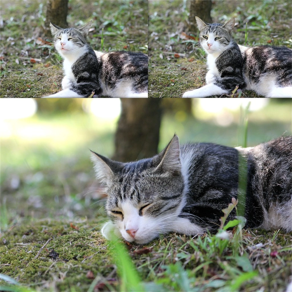 Модель позирует