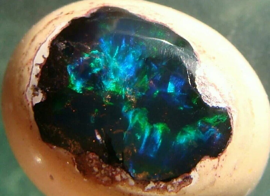 Вкус опала. Эфиопский радужный опал. Опал овайхи. Вкус опала. Гидрофан водный опал.