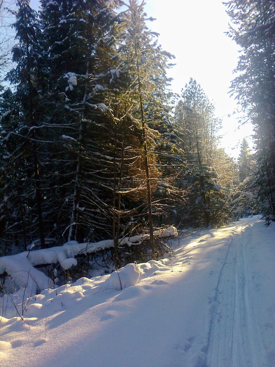 Катание на лыжах.