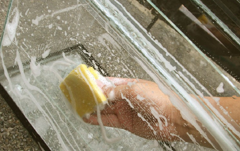 уборка в аквариуме. сифонить грунт в аквариуме. нужно ли мыть аквариум. мойка аквариума. очищение аквариума.