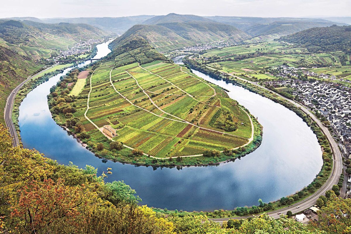 Виноградники Мозеля