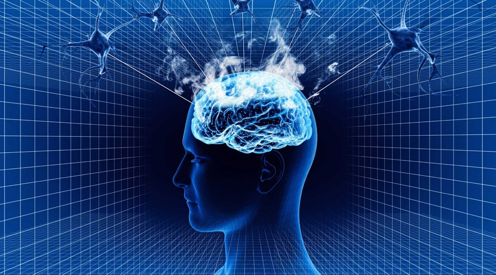 картинка взята из открытых источников Yandex.ru