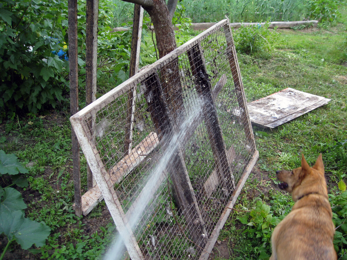 Без Дины никак)))