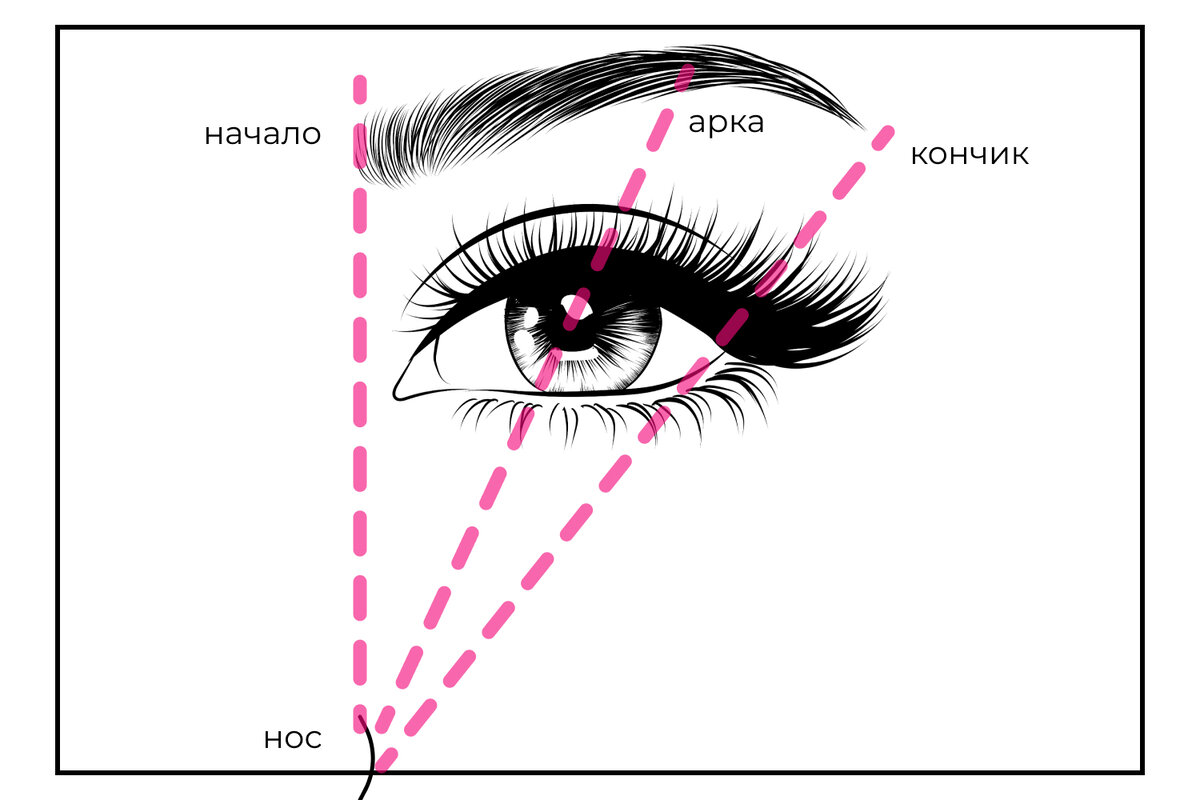 Чтобы правильно смоделировать тело брови, используйте простую шпаргалку из трех линий: а) начало — вровень с внутренней точкой крыла носа, б) арка — на линии, пересекающей крыло носа и центр зрачка, в) кончик — на линии, проходящей от внешнего  края крыла носа мимо внешнего уголка глаза. Чтобы увидеть эти линии, приложите к лицу карандаш или кисточку, которыми будете рисовать брови :)