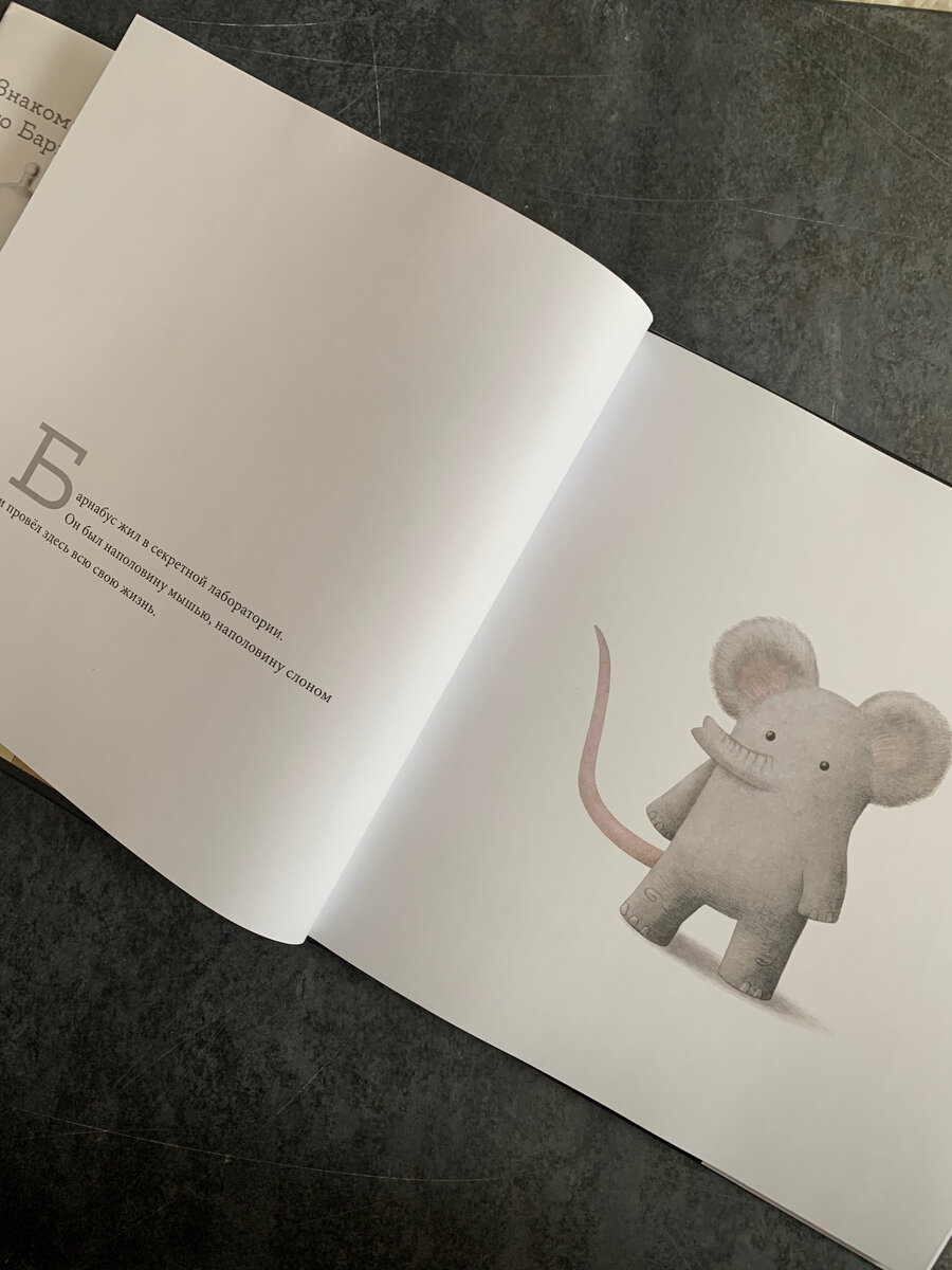 Проект «Барнабус», братья Фэн 