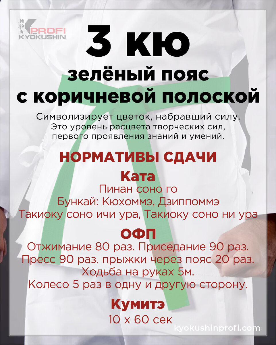 Пояса кёкусинкай карате: их последовательность и значение | Карате ...