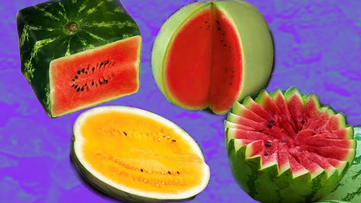 Тест по картинке