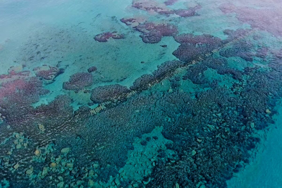 Раньше здесь жили люди, но природа решила иначе.