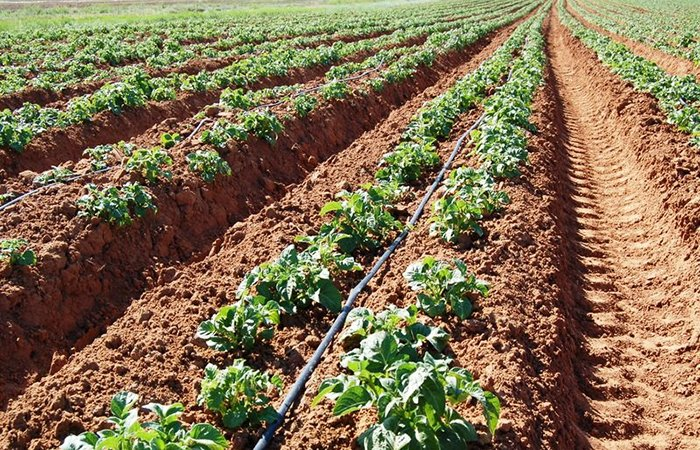 Источник фото: turkmenistan.gov.tm