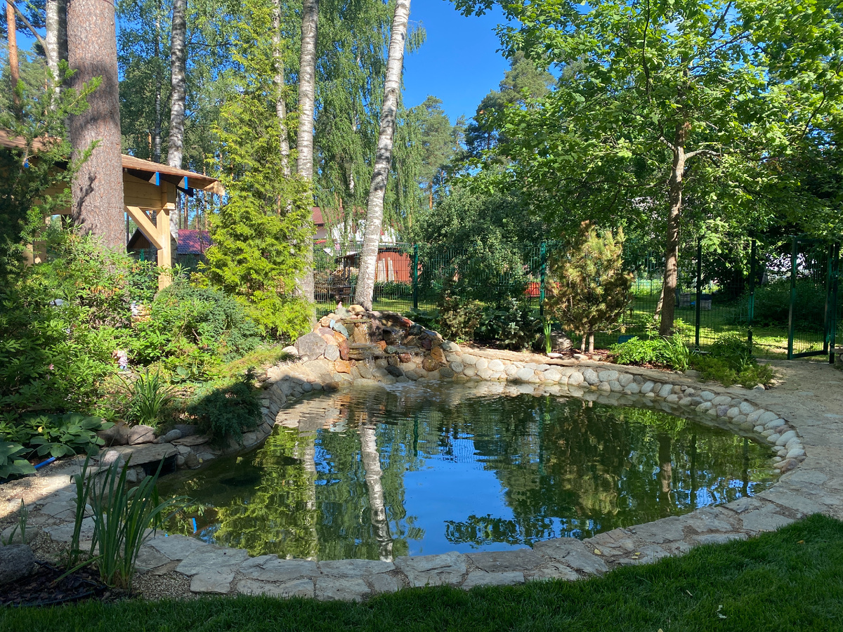 Пруд на загородном участке