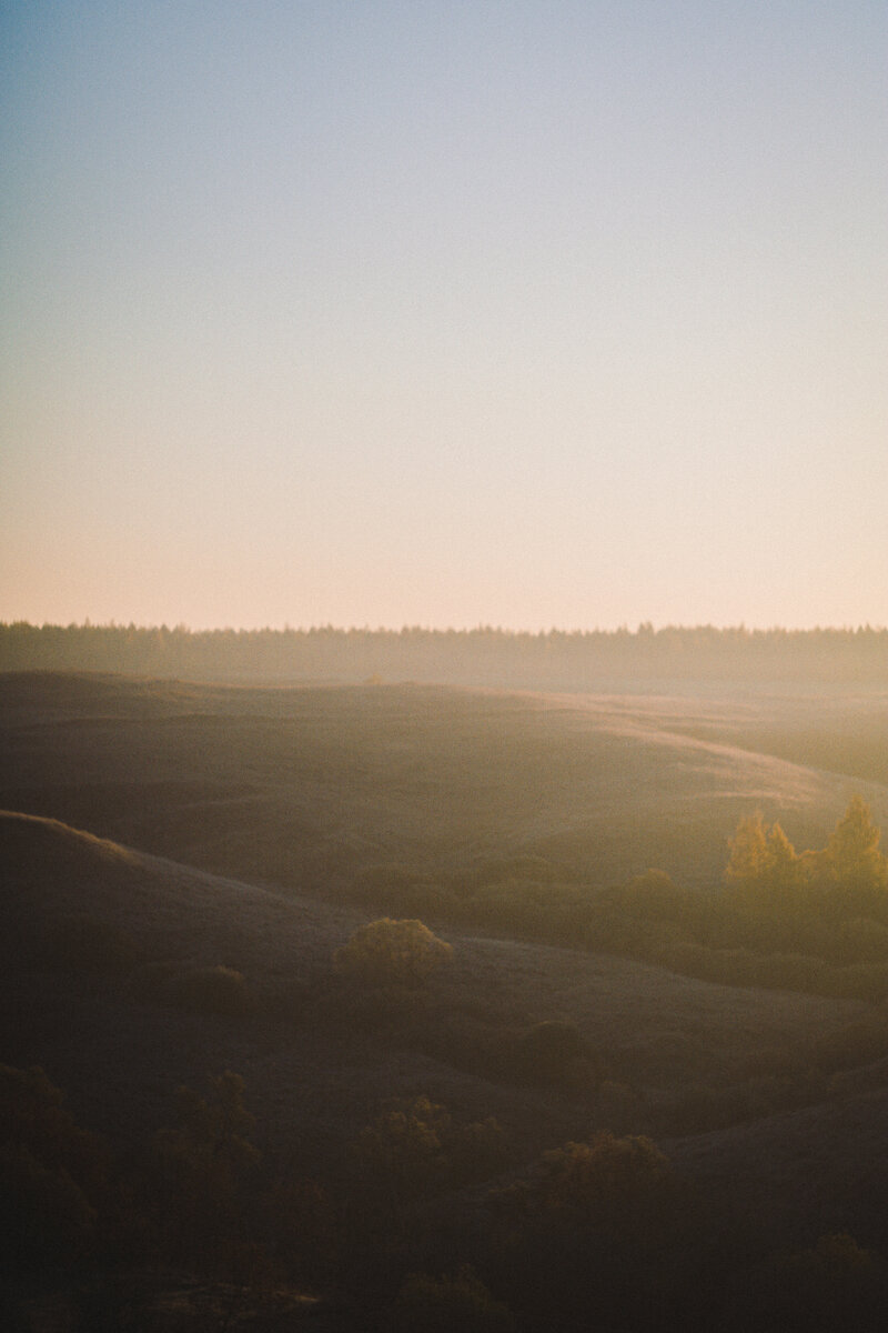 Пронск