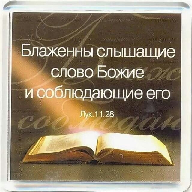 фото из открытого источника Яндекс. Картинки.